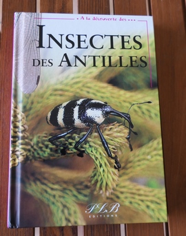 ALD insectes