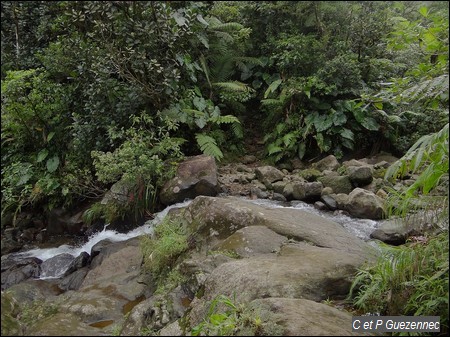 Gué de passage dans la ravine Longueteau