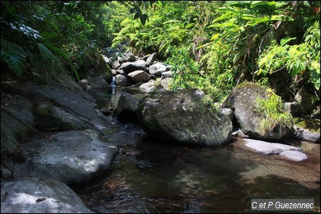 Ravine Longueteau