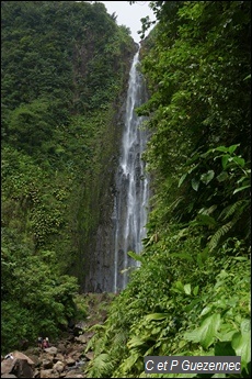 Deuxième Chute du Carbet