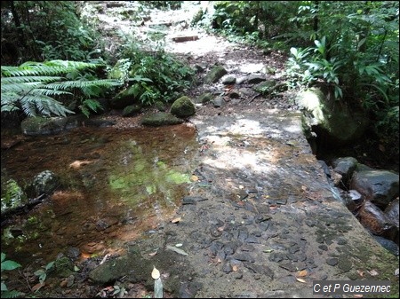 2ième passage sur la ravine Madame François