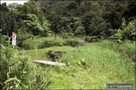 Site des Bains Chauds du Matouba