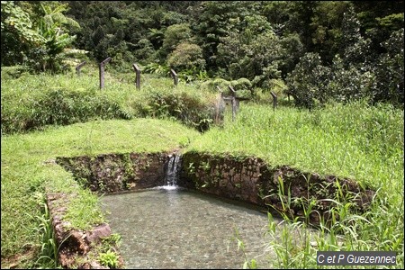 Bassin des Bains Chauds du Matouba