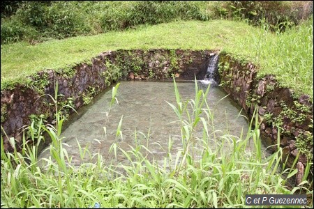 Bassin des Bains Chauds du Matouba