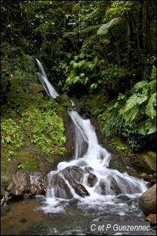 Cascade Ravine Chaude