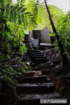 Escaliers en début de parcours