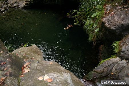 Bassin Paradise - Vue d'en haut