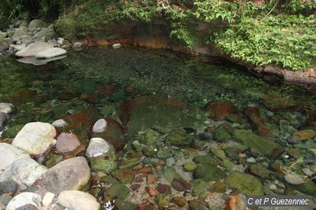 Petit Bassin en aval du Bassin Paradise