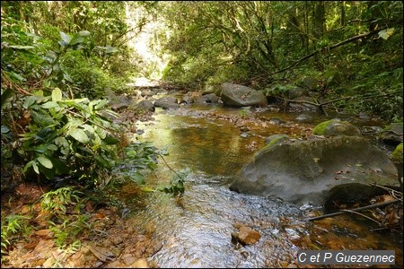 Rivière Bois Bananes