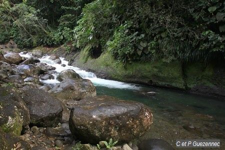 Grande Rivière de Vieux Habitants