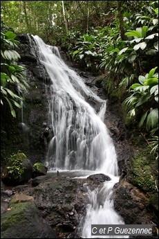 Cascade de la Ravine Gras