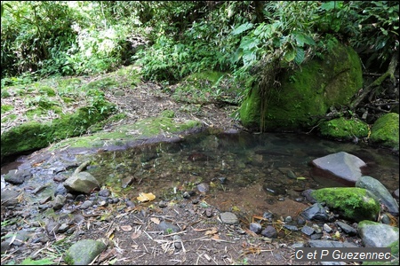 Gué de la ravine de Grand Camp