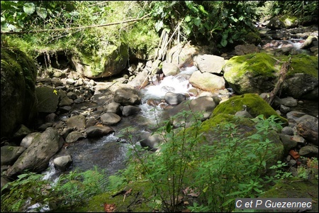 Gué sur la rivière de Beaugendre