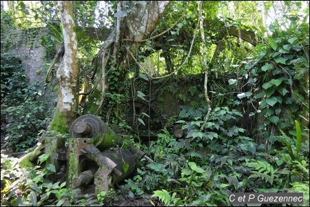  Vestiges du moulin à eau de l'Habitation la Coulisse