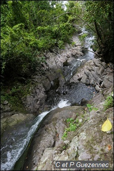 Vue de la rivière La Coulisse depuis le haut de la cascade de 5m