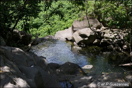 Bassin sur le haut de la Cascade de 8 m sur la rivière La Coulisse