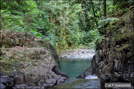 Haut de la Petite Cascade avec grand bassin sur la Lézarde