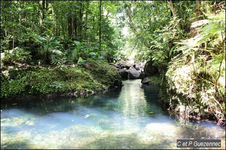 Bassin profond sur la Lézarde