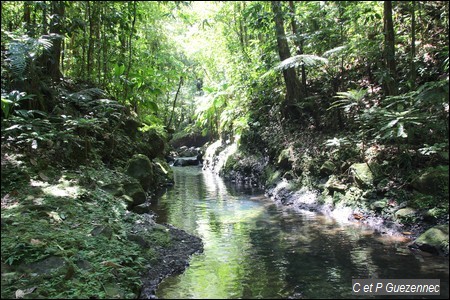 Long Bassin profond sur la Lézarde