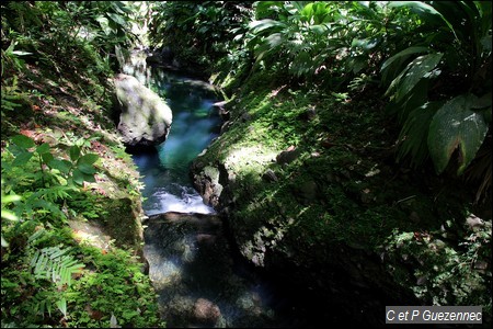 Rivière La Lézarde - Petit Canyon