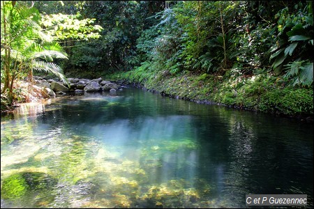 Bassin sur la Lézarde