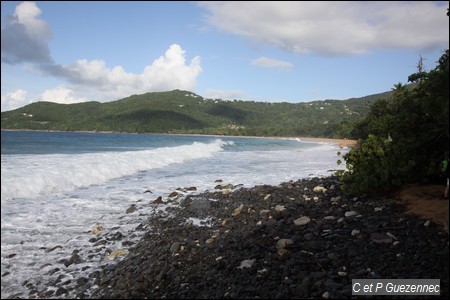 Vue sur la plage de Grande Anse