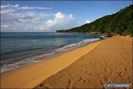 Extrémité nord de la plage de Grande Anse de Deshaies