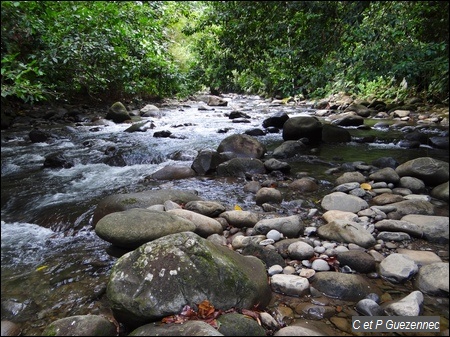 Rivière La Moustique