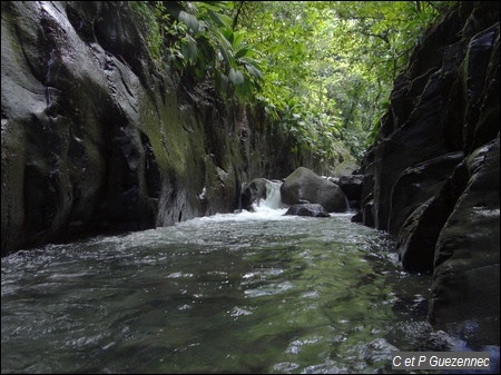 Canyon La Moustique 2e partie