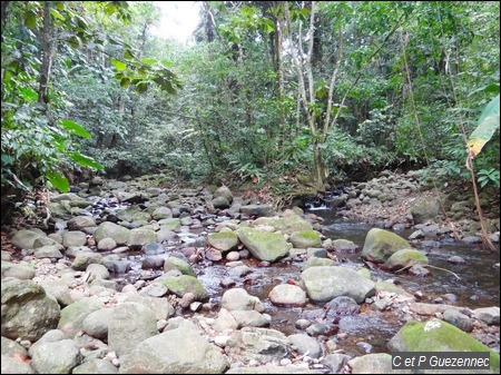 Confluent des ravines Naca et Dame Hélène