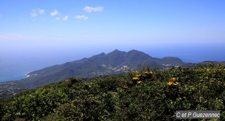 Les Monts Caraïbes