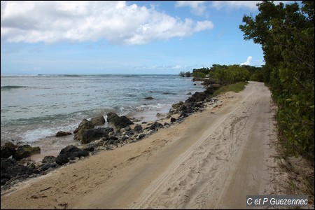 Route de littoral