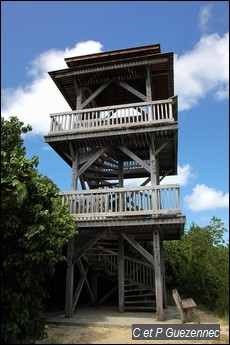 Tour Observatoire de la Mangrove