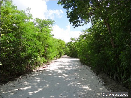 Route du littoral