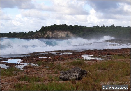 Les falaises de l'Anse Colas