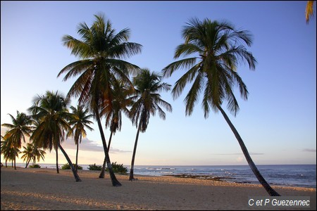 Plage de l'Anse de la petite Chapelle à Anse-Bertrand