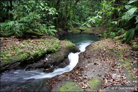 Grand bassin de Ravine Bouteiller