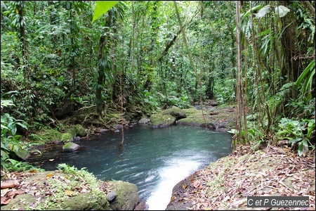 Grand bassin de Ravine Bouteiller