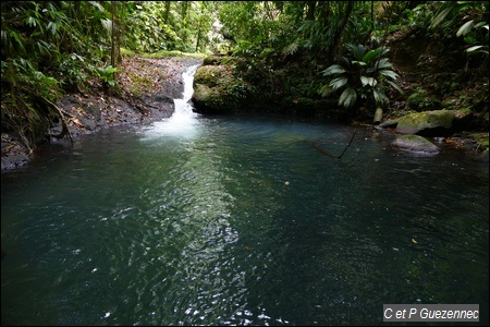 Grand bassin de Ravine Bouteiller