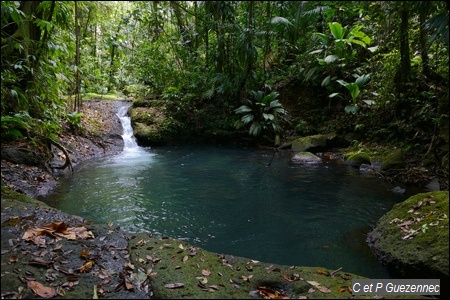 Grand bassin de Ravine Bouteiller