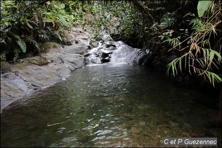 Bassin sur la Ravine Longueteau