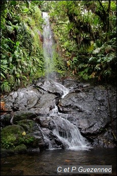 Cascade 2 ravine affluente de Longueteau