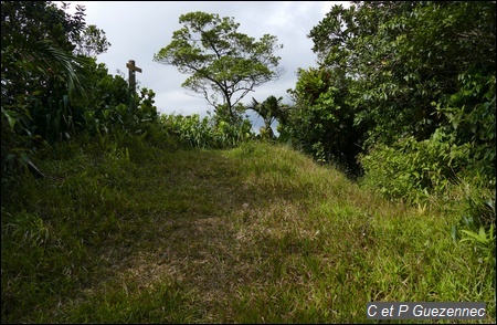 Piton de Belle Hôtesse à 777m d'altitude