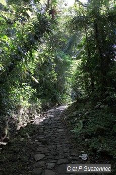 Sentier du Pas du Roy