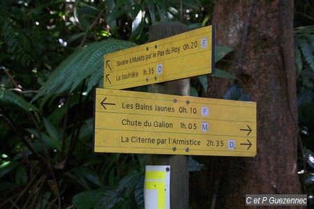 Prendre à gauche vers la Savane à Mulets