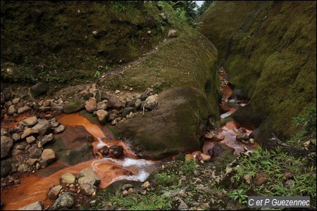 Rivière du Grand Carbet - Sentier vers les Chutes