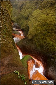 Canyon en amont de la première chute du Carbet