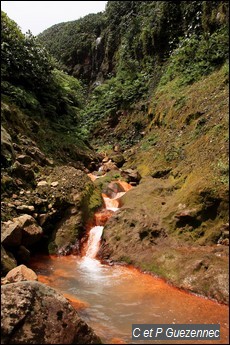 Près de la source du Grand Carbet en septembre 2011