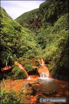 Près de la source du Grand Carbet en août 2009