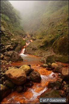 Rivière du Grand Carbet à proximité de sa source